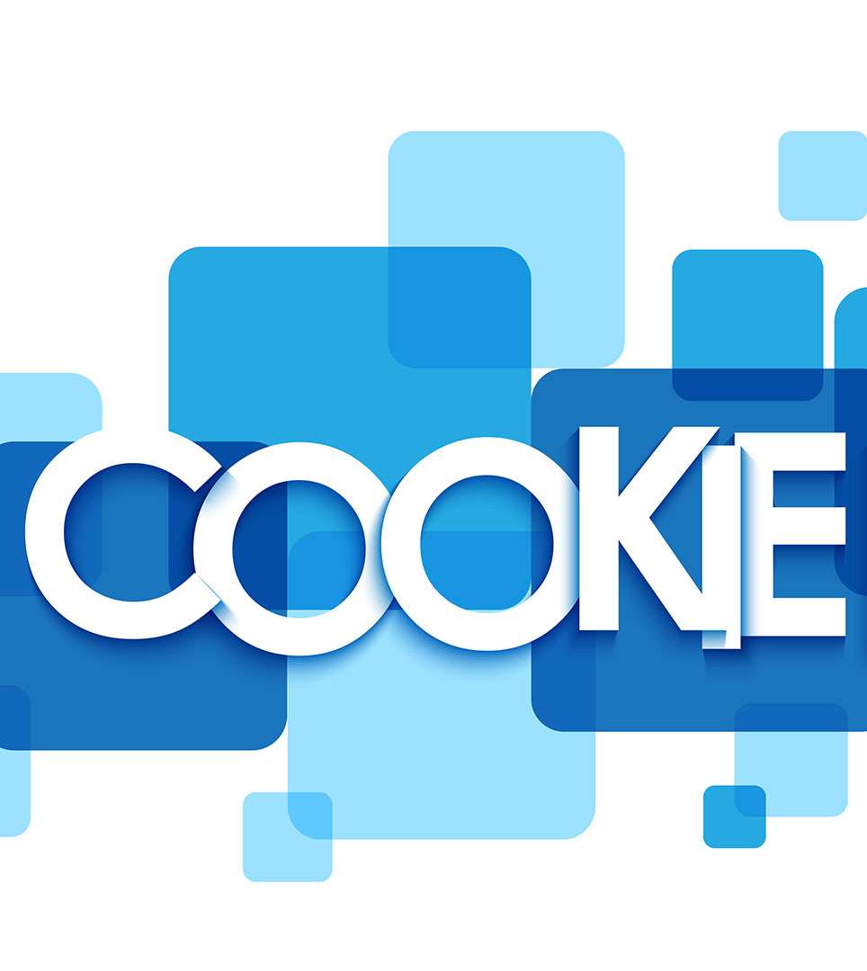 TROPICAL INN & SUITES WEBSITE COOKIE POLICY