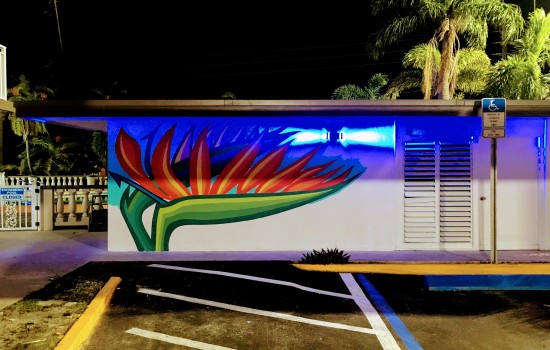 Welcome To Tropical Inn & Suites - Dedicated Accessible Parking